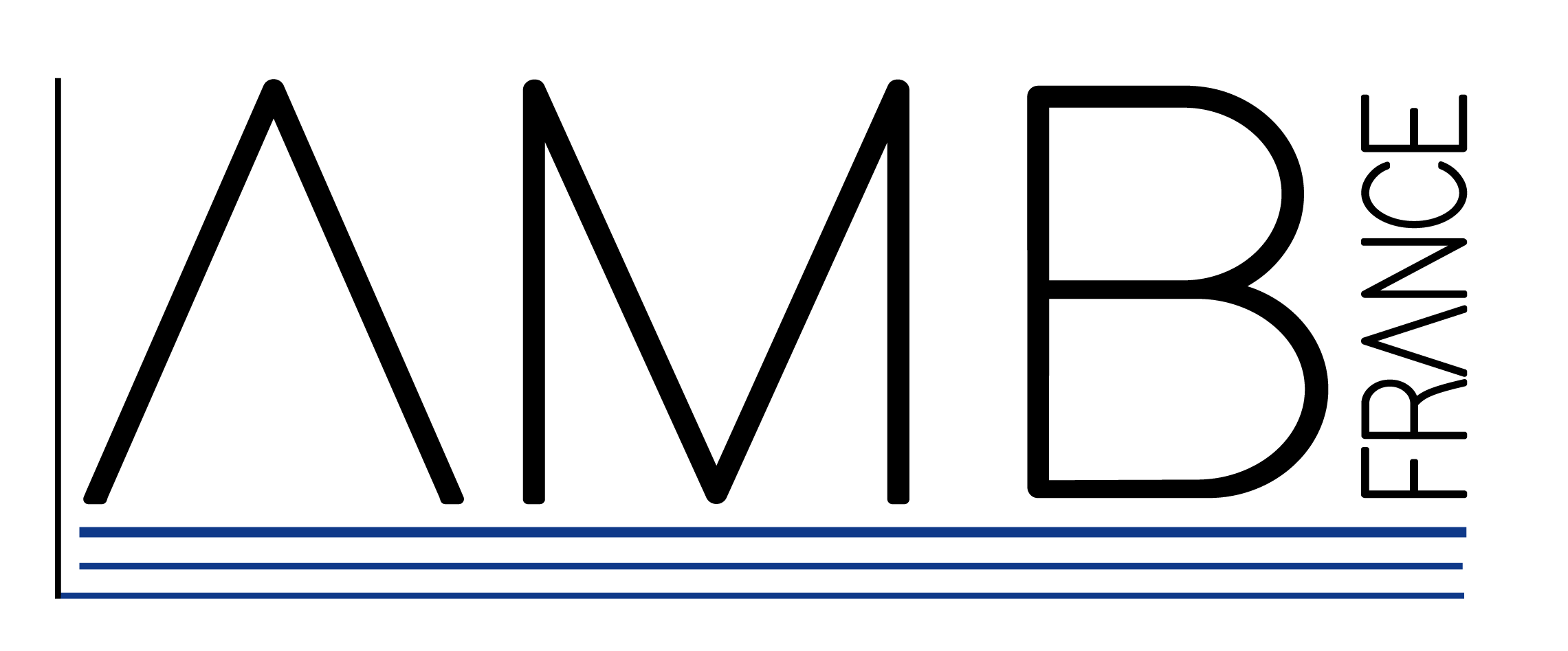 AMB France - Le plus grand choix de moustiquaires logo